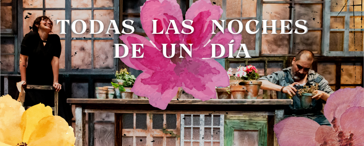 Todas las Noches de un Día: Un thriller de poesía, botánica y amores no&nbsp;correspondidos