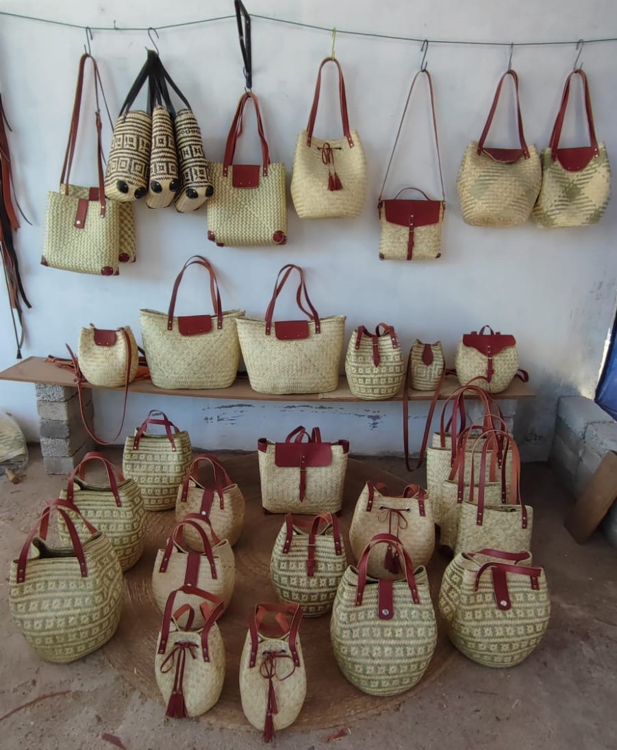 Ñoo Bilikáa y la palma en su máxima expresión&nbsp;artística.