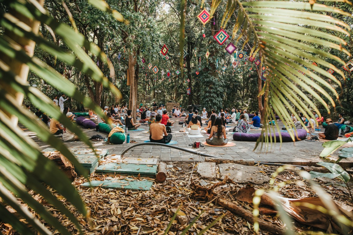 Isla B: Un Refugio de Bienestar en el Corazón de Bahidorá&nbsp;2025