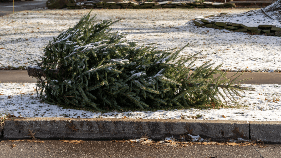 ¿Donde dejar tu arbolito de&nbsp;navidad?