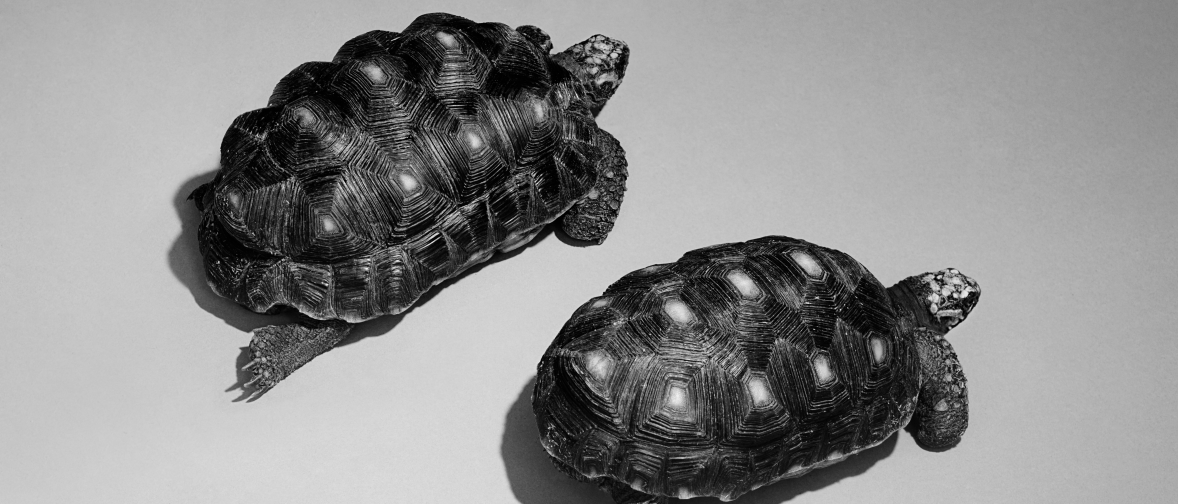 El Amor en Su Forma Más Profunda: Sam Smith Lanza ‘Love Is a Stillness’